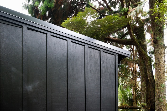 New Wave Construction Titirangi Studio Exterior Black in Green Bush